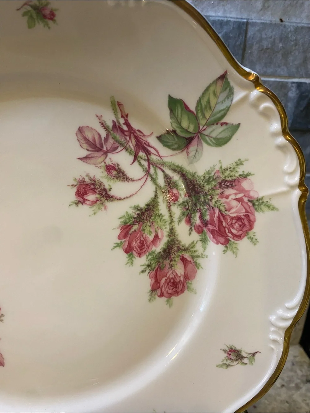 EDELSTEIN MARIA THERESIA MOSS ROSE Set Of 6 Dinner Plates SCALLOP~GOLD TRIM - Picture 2 of 5